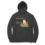 Men's Fun Fact:I Don't Care Sarcastic Quotes Hoodies
