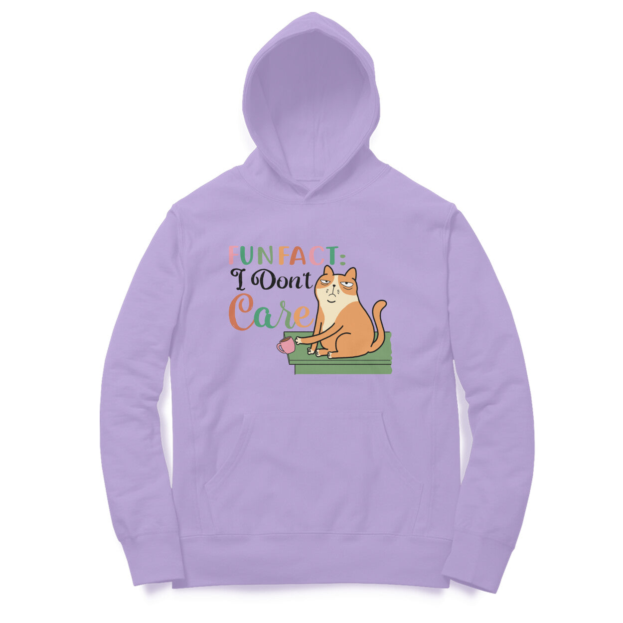 Men's Fun Fact:I Don't Care Sarcastic Quotes Hoodies