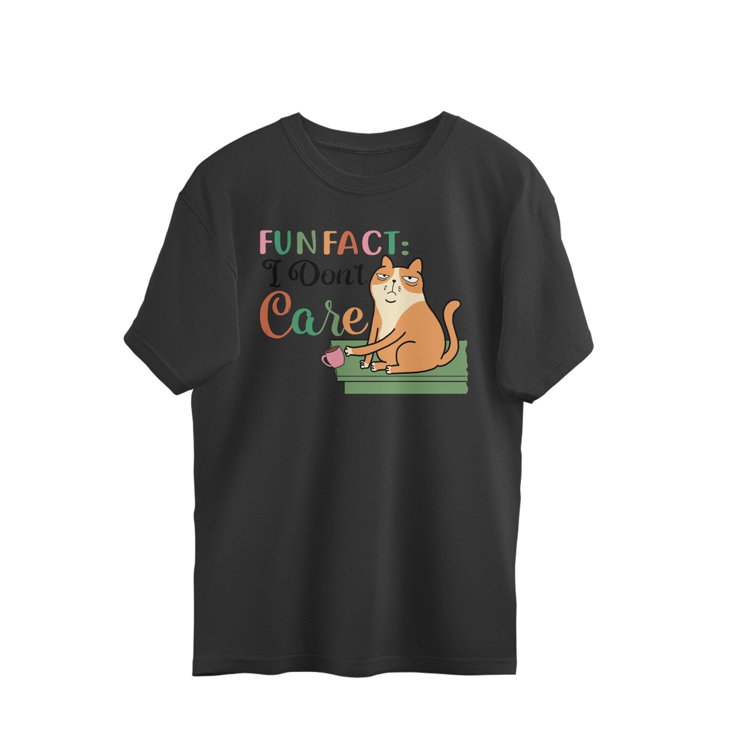 Women's Fun Fact : I Don't Care Sarcastic Quotes Oversized T-Shirt Secondary image