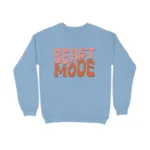 front-65617a7a95f5b-Baby_Blue_XS_Sweatshirt.jpg